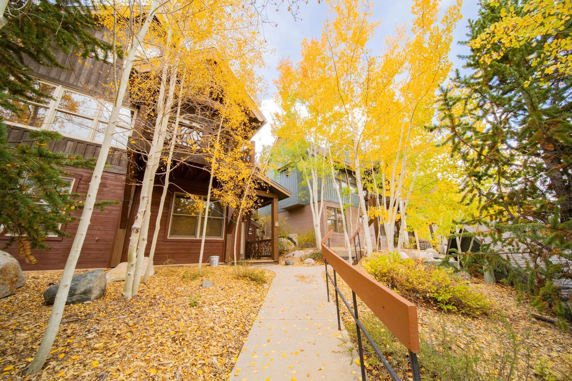 Cabin In The Pines 4 By Summitcove Lodging Keystone Dış mekan fotoğraf